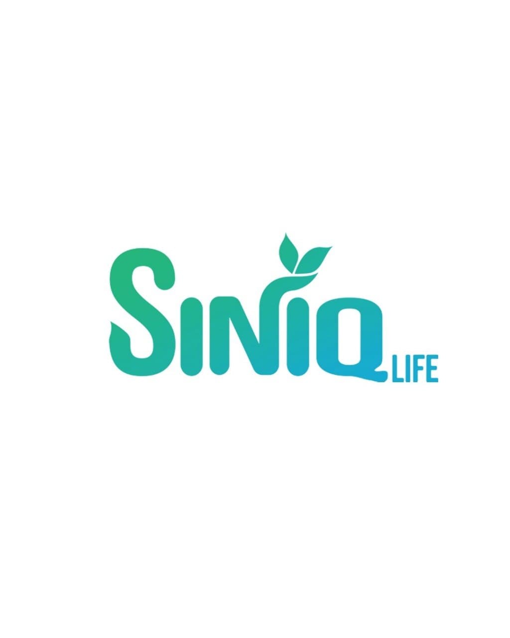 Siniq Life portfolio cover